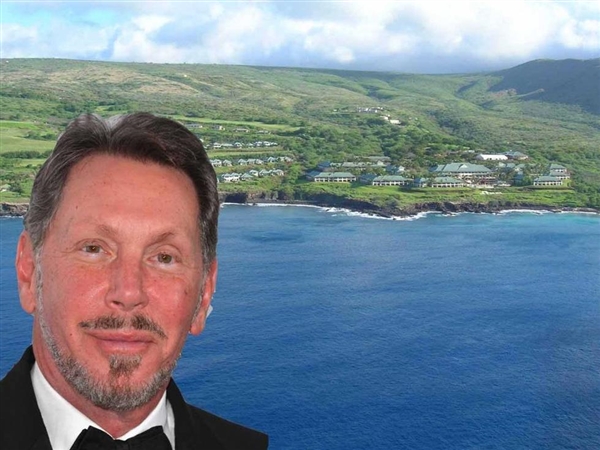 �׹��� CEO �������ղ�񱣺��լ