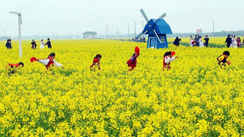 魔都5大春游圣地:奉贤庄行