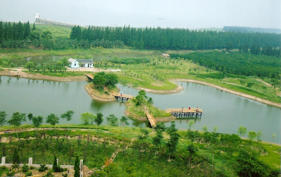 魔都5大春游圣地:崇明岛东南部