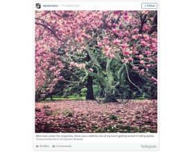 ʢֵInstagram9ط