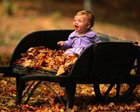 Ӱ--When A Child Is 