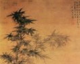 滭еġ硱ݱ()