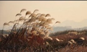 «έƮ����ʱ��