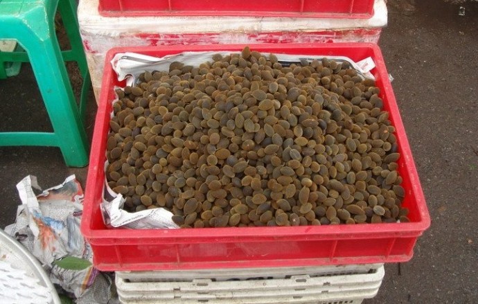 ��Ʒ������