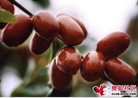 ŮԽԽƯĺöһ - yudaichefengjun - yudaichefengjunĲ