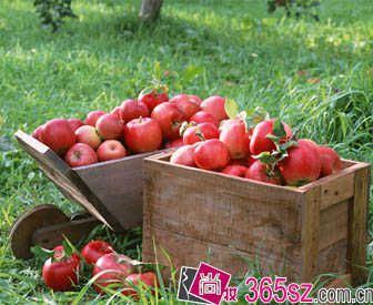 ����ϰ�߶���һ��ƻ��