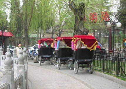 ʲɲ���ưɽ�