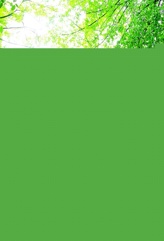 ��Ϊ����Ӧ��ͬ��β�͵������Ϻ���ݵĲ��ʷ�Ϊ�ߡ��С����������Ρ��Ϻ��Ĳ�ݻ����峿5:30��9:00���ϲ���Ƴ�����2Ԫ���µ��ؼ۲裬�������ϲ�͵Ĺ�ˡ����׹��͵��Ϻ����Ļ����������������͵�������ȡ����磬�Ϻ���һЩ����ݣ��������������������ƼҲ���ݡ���ɭ����ݡ�����Ϊ����ṩ���ȵ��ĵġ���԰��������Ե���Ȳ�ݡ�