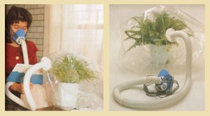 ���¿���������