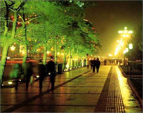 ҹĻ�µľ���