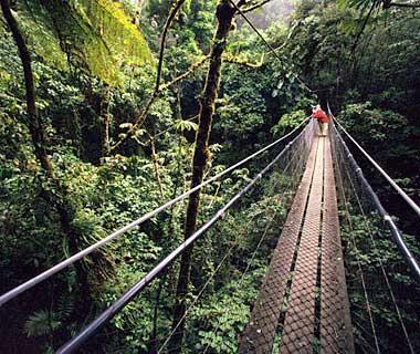Santa Elena and Monteverde Cloudɭֱ(˹)