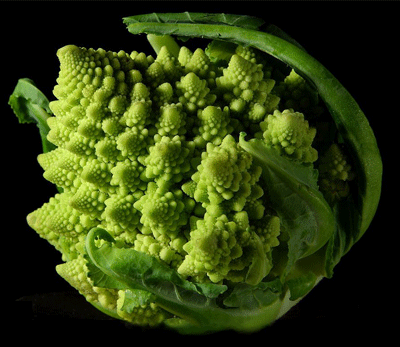 这种花椰菜长相特别,花球表面由许多螺旋形的小花所组成 自然界十大奇异植物:迷幻类植物拥有美丽外表