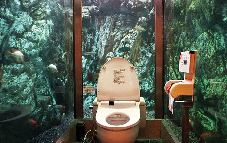 日本明石的Mumin Papa Cafe,这是一个水族馆里的厕所,仅供女性使用,有女士抱怨在如厕的时候有雄海龟偷看她,的确,突然冒出一个龟头是会吓坏人的。