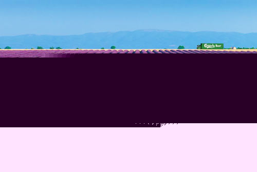 ͼƬҳ