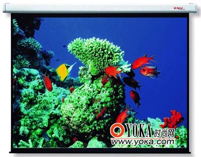 ���󷽰�Ϊ�����������ſ��ͥӰԺ