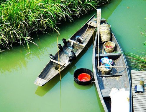 杭州西溪湿地公园 杭州西溪湿地公园