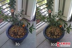 ɶͬ ƻiPhone 3GS/3GԱ