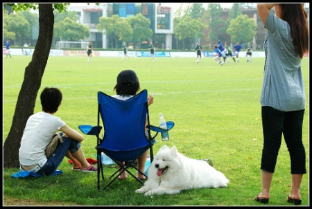 精品消费网 精品消费网