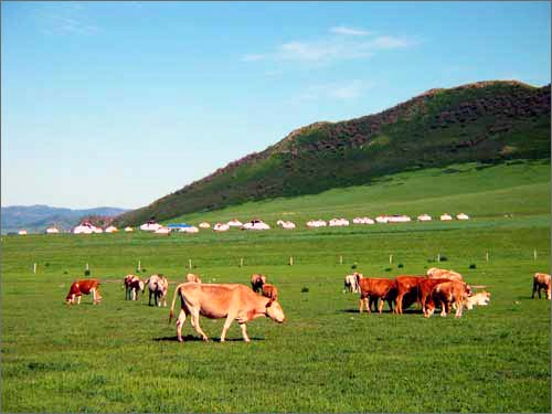 ��&ldquo;Ư��&rdquo;�Ĳ�ԭ