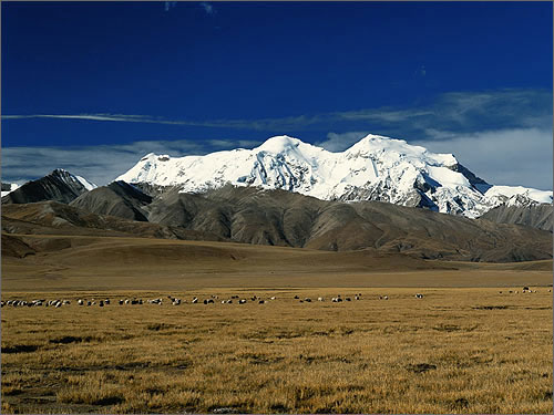 ��&ldquo;�ߺ�&rdquo;�Ĳݵ�