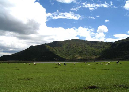 ��&ldquo;����&rdquo;�Ĳ�ԭ