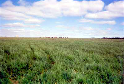 ��&ldquo;����&rdquo;�Ĳ�ԭ