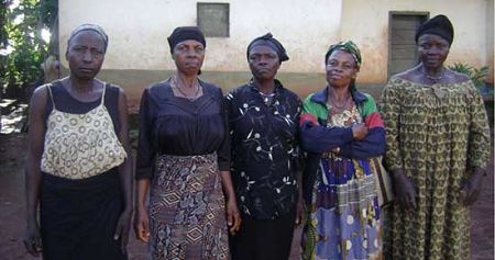 ����¡Ȣ���ϲ��ⶥ ���ž����Ͷ���(ͼ)