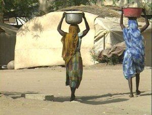 ����¡Ȣ���ϲ��ⶥ ���ž����Ͷ���(ͼ)