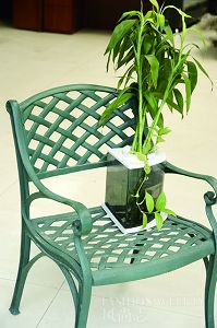 �������ֻ����ͼ