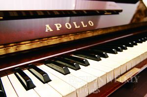 �������ֻ����ͼ