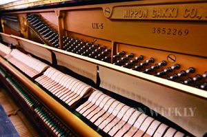 �������ֻ����ͼ