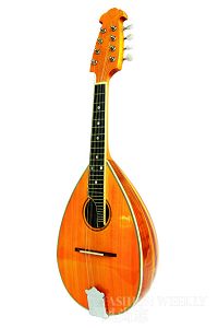 �������ֻ����ͼ