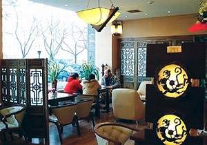 ʮ���������ȵ�