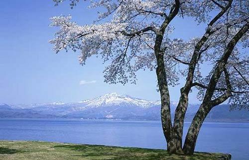 日本的冬天