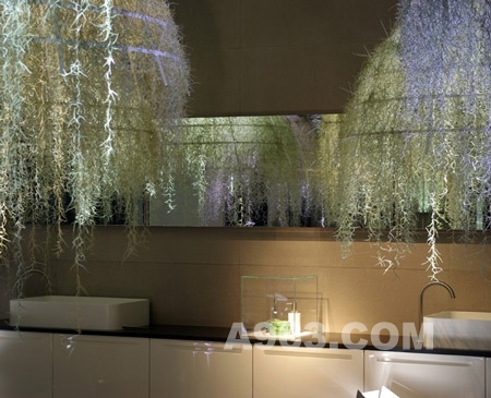 ���һ����������ʻ���ȴ����ֳ��ڼ����ͼ��