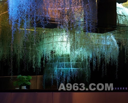 ���һ����������ʻ���ȴ����ֳ��ڼ����ͼ��