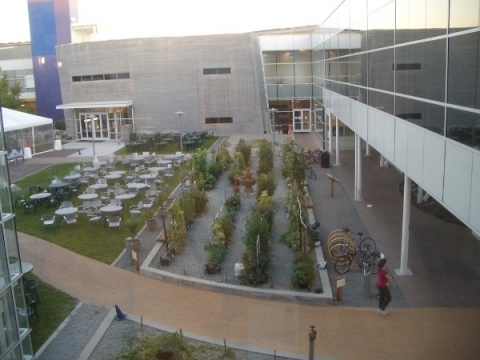 【环境】令人心痒的Google总公司 - ╰*☆ぷ晨曦 - 誰动了我的琴弦 【环境】令人心痒的Google总公司 - ╰*☆ぷ晨曦 - 誰动了我的琴弦