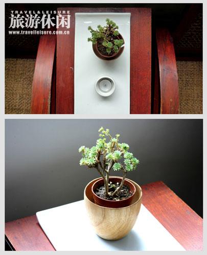 ����ֲ�����