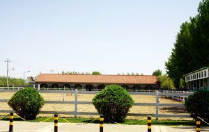 �����������ֲ����̵�