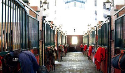 �����������ֲ����̵�