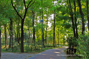 ��������ƥ��ɭ�ֹ�԰[����Ŵ�]