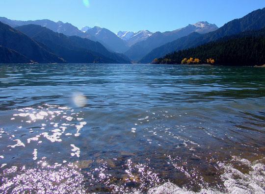 ��������(ͼ���ʺ���)