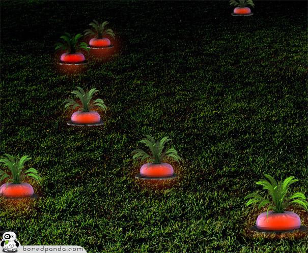 20��̨�Ƶ���˼���� - wish to lily - wish to lily