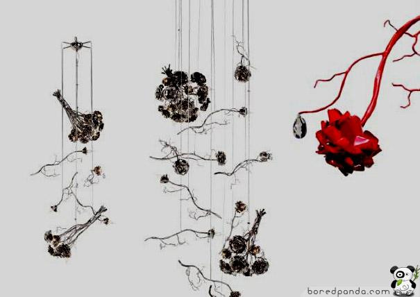 20��̨�Ƶ���˼���� - wish to lily - wish to lily