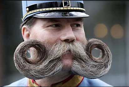 StachePassions.com StachePassions.com