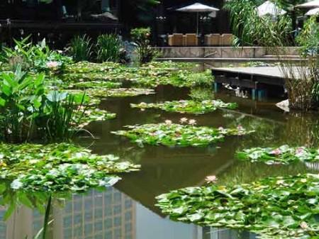 双击在新窗口按原始大小查看 静安公园