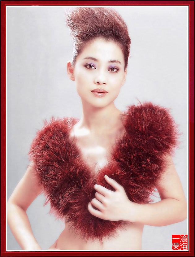 �˸�Ӱ������--÷��ר�� - �������� - ��������