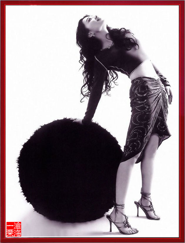 �˸�Ӱ������--÷��ר�� - �������� - ��������