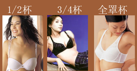 ���Ϲ���Ůװ����Ůʿ��������-���´���ʵ���ֲᣨ����ʾ�������´�������-���³ߴ���ձ�-��δ�����-��Ů�ѵ����� - �Ա������Ϲ���-��װ����ȫ����-��װ���� - �������δ���-�������������δ�����δ���