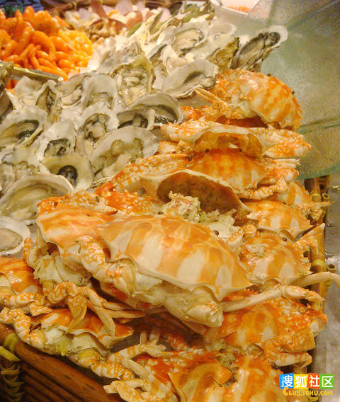 		��¡�Ƶ꡶���Ǽ�����ʽ������[26P] - �⳾ѩ�� - �裬Խ��Խ��Ĭ